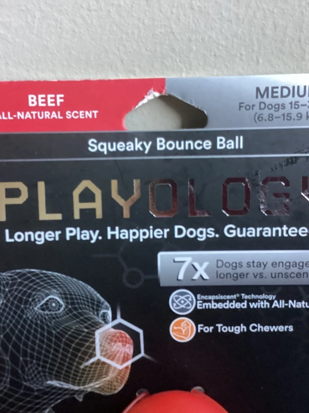 PLAYOLOGY nwt squeaky